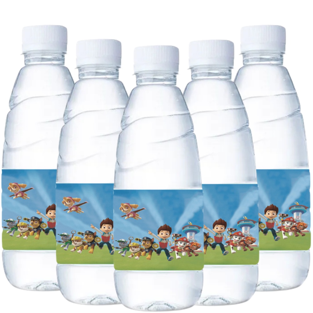 Paw Patrol Water Bottle Labels - огляд і ціна Candy Sour Strip